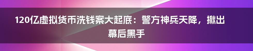 120亿虚拟货币洗钱案大起底：警方神兵天降，揪出幕后黑手