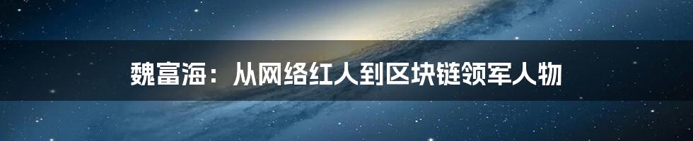 魏富海：从网络红人到区块链领军人物