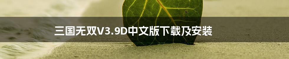 三国无双V3.9D中文版下载及安装