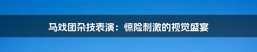 马戏团杂技表演：惊险刺激的视觉盛宴