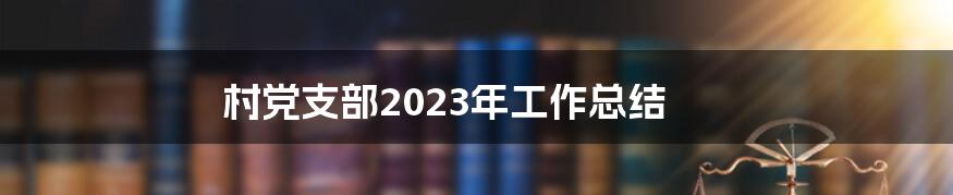 村党支部2023年工作总结