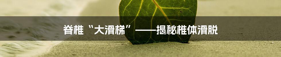 脊椎“大滑梯”——揭秘椎体滑脱