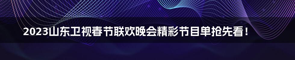 2023山东卫视春节联欢晚会精彩节目单抢先看！