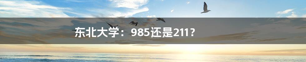 东北大学：985还是211？