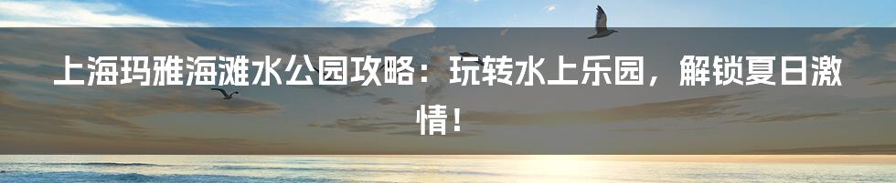 上海玛雅海滩水公园攻略：玩转水上乐园，解锁夏日激情！