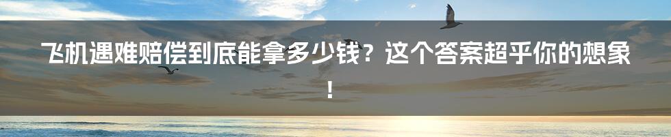 飞机遇难赔偿到底能拿多少钱？这个答案超乎你的想象！