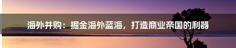 海外并购：掘金海外蓝海，打造商业帝国的利器