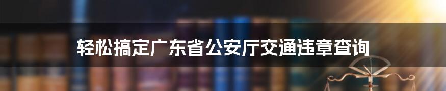 轻松搞定广东省公安厅交通违章查询