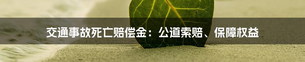 交通事故死亡赔偿金：公道索赔、保障权益