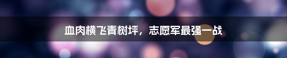 血肉横飞青树坪，志愿军最强一战