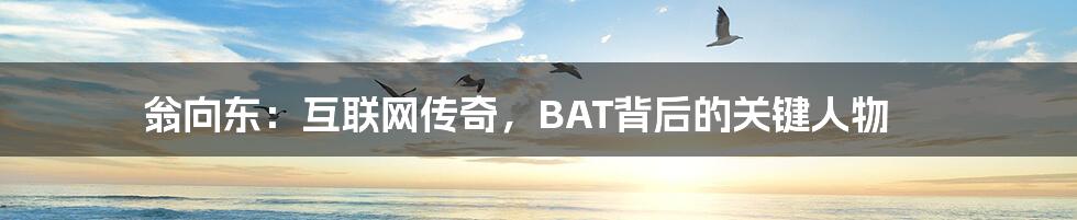 翁向东：互联网传奇，BAT背后的关键人物