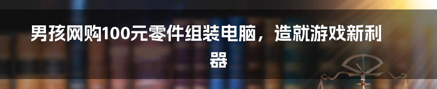 男孩网购100元零件组装电脑，造就游戏新利器