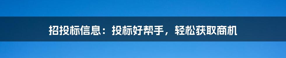 招投标信息：投标好帮手，轻松获取商机