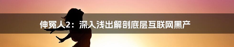 伸冤人2：深入浅出解剖底层互联网黑产