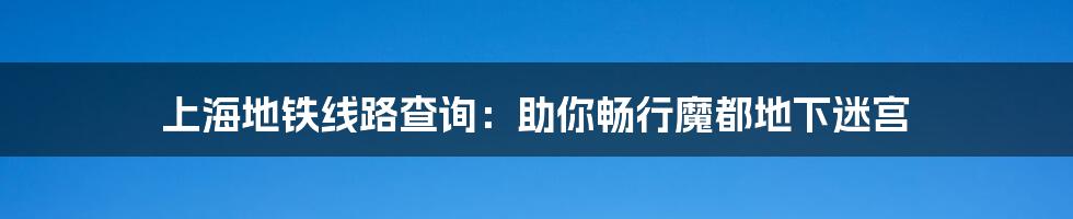 上海地铁线路查询：助你畅行魔都地下迷宫