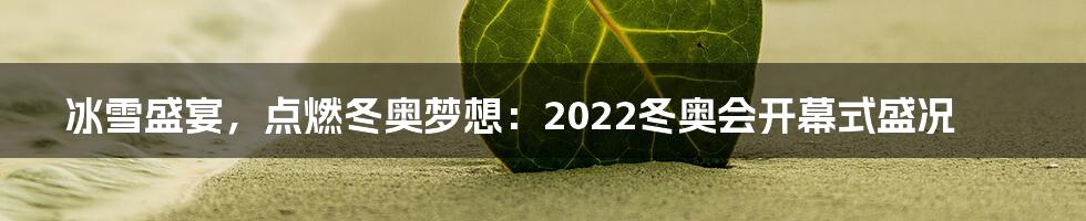 冰雪盛宴，点燃冬奥梦想：2022冬奥会开幕式盛况