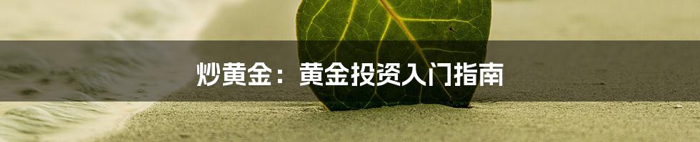 炒黄金：黄金投资入门指南