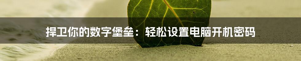 捍卫你的数字堡垒：轻松设置电脑开机密码