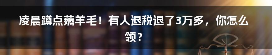 凌晨蹲点薅羊毛！有人退税退了3万多，你怎么领？