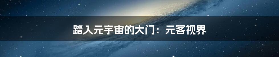 踏入元宇宙的大门：元客视界