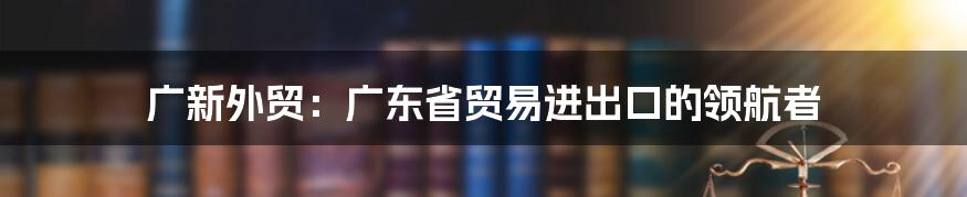 广新外贸：广东省贸易进出口的领航者