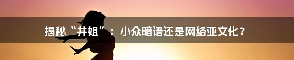 揭秘“井姐”：小众暗语还是网络亚文化？