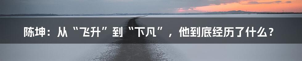 陈坤：从“飞升”到“下凡”，他到底经历了什么？