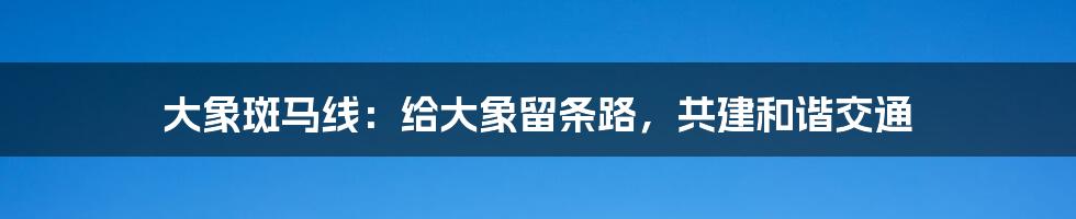 大象斑马线：给大象留条路，共建和谐交通