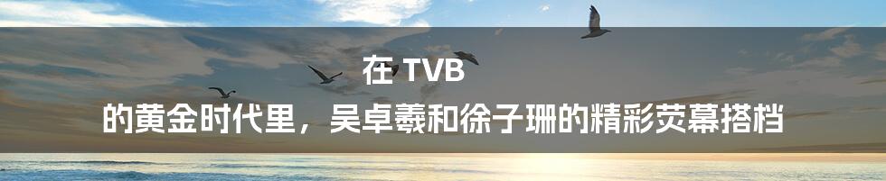 在 TVB 的黄金时代里，吴卓羲和徐子珊的精彩荧幕搭档