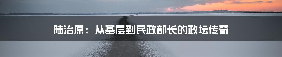 陆治原：从基层到民政部长的政坛传奇