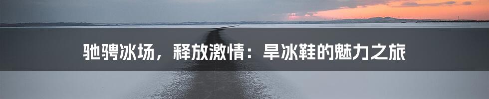 驰骋冰场，释放激情：旱冰鞋的魅力之旅