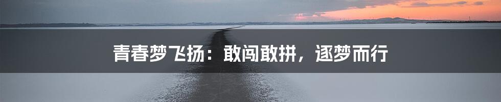 青春梦飞扬：敢闯敢拼，逐梦而行