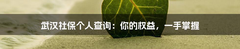 武汉社保个人查询：你的权益，一手掌握