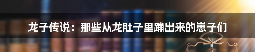 龙子传说：那些从龙肚子里蹦出来的崽子们