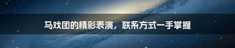 马戏团的精彩表演，联系方式一手掌握