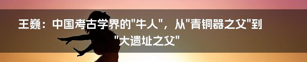 王巍：中国考古学界的"牛人"，从"青铜器之父"到"大遗址之父"