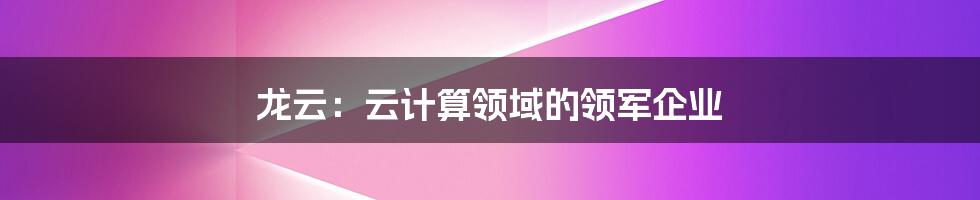 龙云：云计算领域的领军企业