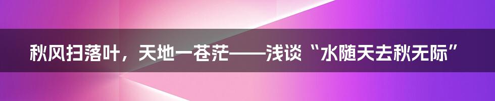 秋风扫落叶，天地一苍茫——浅谈“水随天去秋无际”