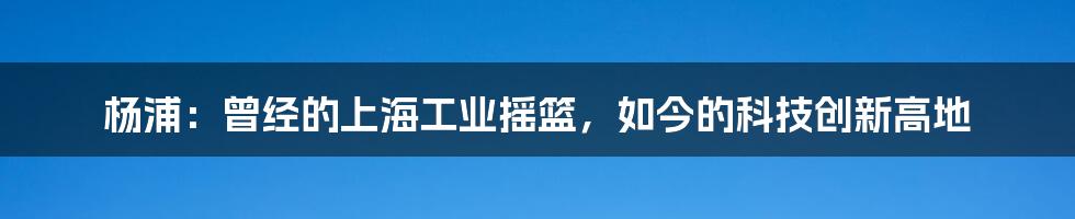 杨浦：曾经的上海工业摇篮，如今的科技创新高地