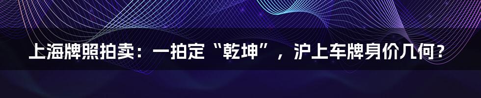 上海牌照拍卖：一拍定“乾坤”，沪上车牌身价几何？