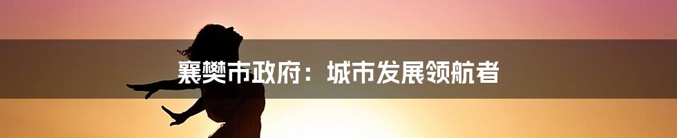 襄樊市政府：城市发展领航者