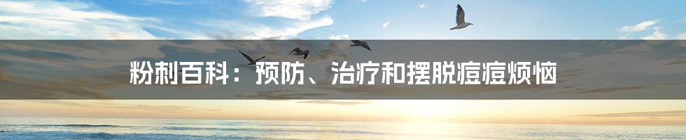 粉刺百科：预防、治疗和摆脱痘痘烦恼