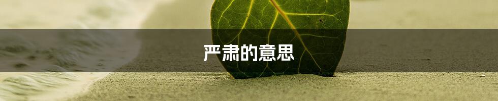 严肃的意思