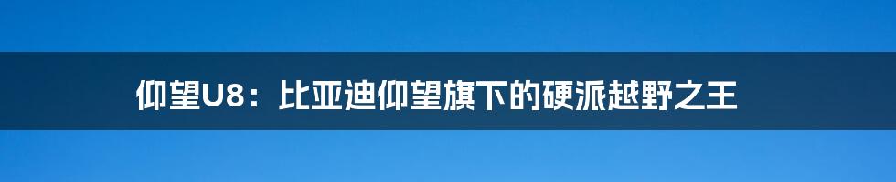 仰望U8：比亚迪仰望旗下的硬派越野之王