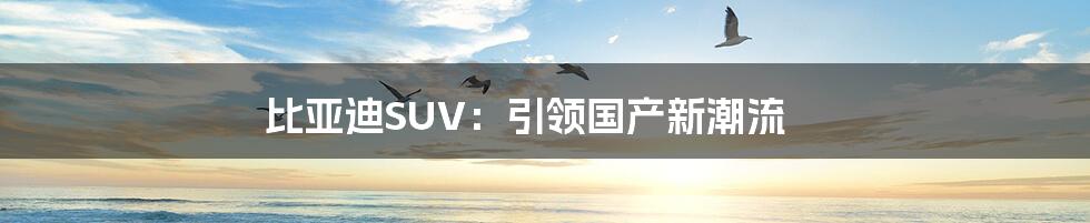 比亚迪SUV：引领国产新潮流