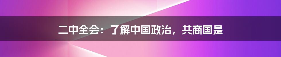 二中全会：了解中国政治，共商国是