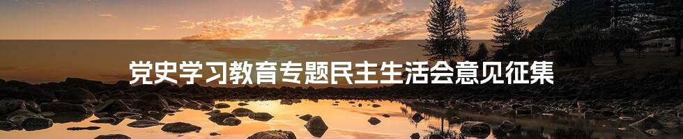 党史学习教育专题民主生活会意见征集