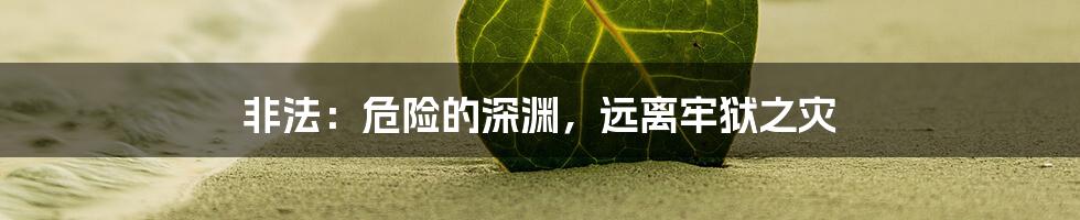 非法：危险的深渊，远离牢狱之灾