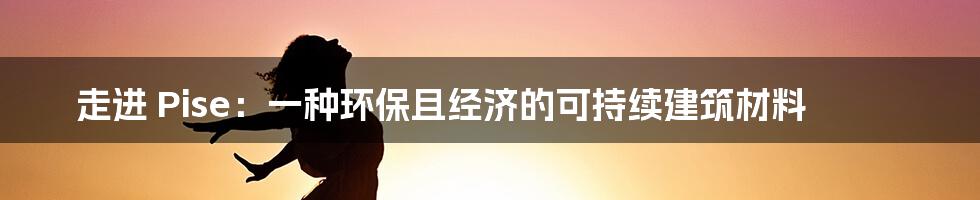 走进 Pise：一种环保且经济的可持续建筑材料