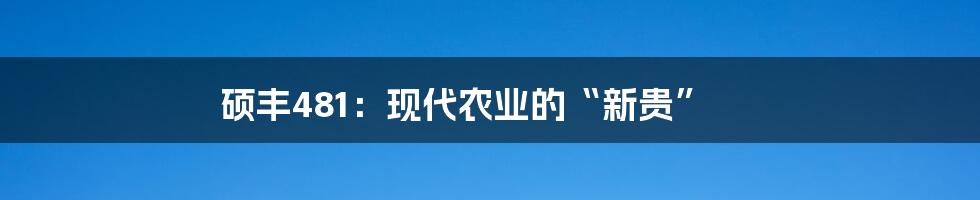 硕丰481：现代农业的“新贵”